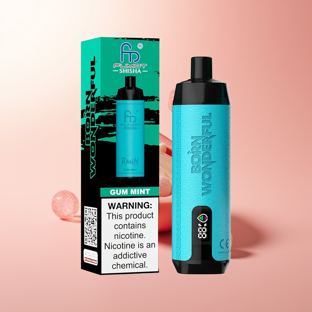 RandM Fumot Shisha 10000 Puffs Menta de Goma LED 18ml