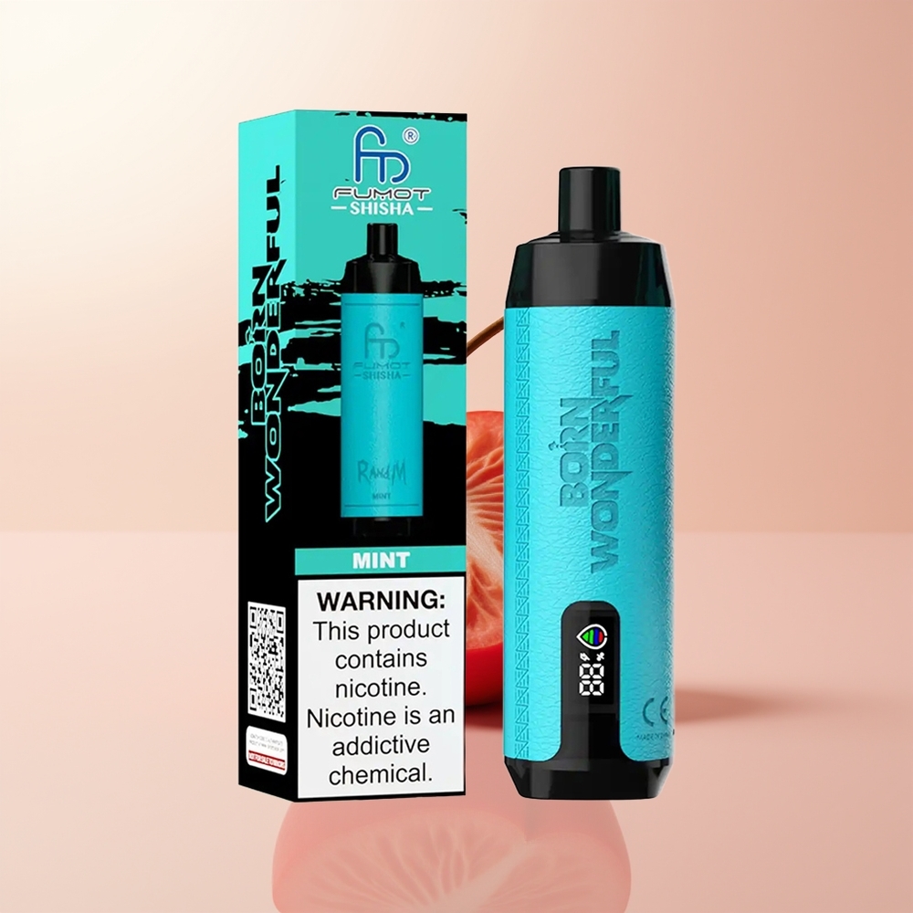 RandM Fumot Shisha 10000 Puffs Mentolado Desechable con Indicador LED y Batería 850 mAh