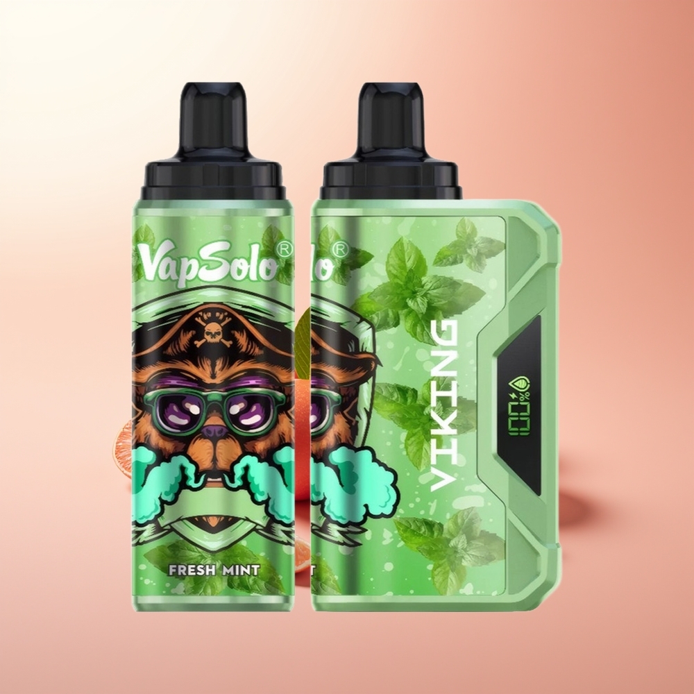 VapSolo VIKING 12000 Puffs Menta Fresca Tipo-C 22ml