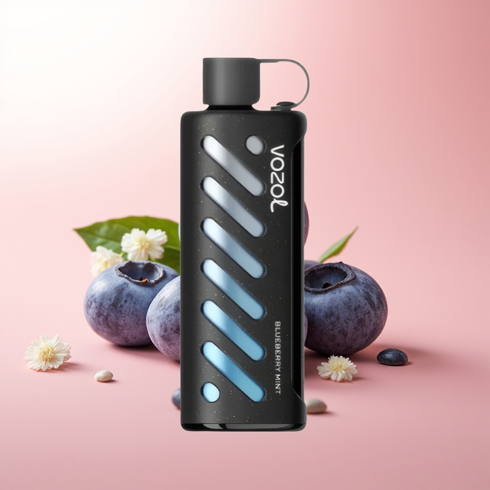 VOZOL Gear Shisha 25000 Puffs Menta Arándano Doble Malla 5mg