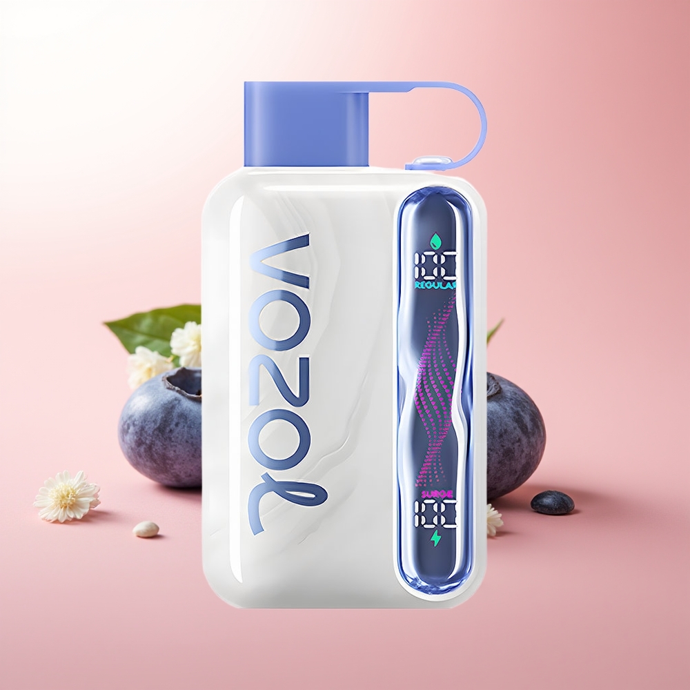 VOZOL STAR 40000 Puffs Menta Arándano 1000mAh Tipo-C 20/50mg/ml