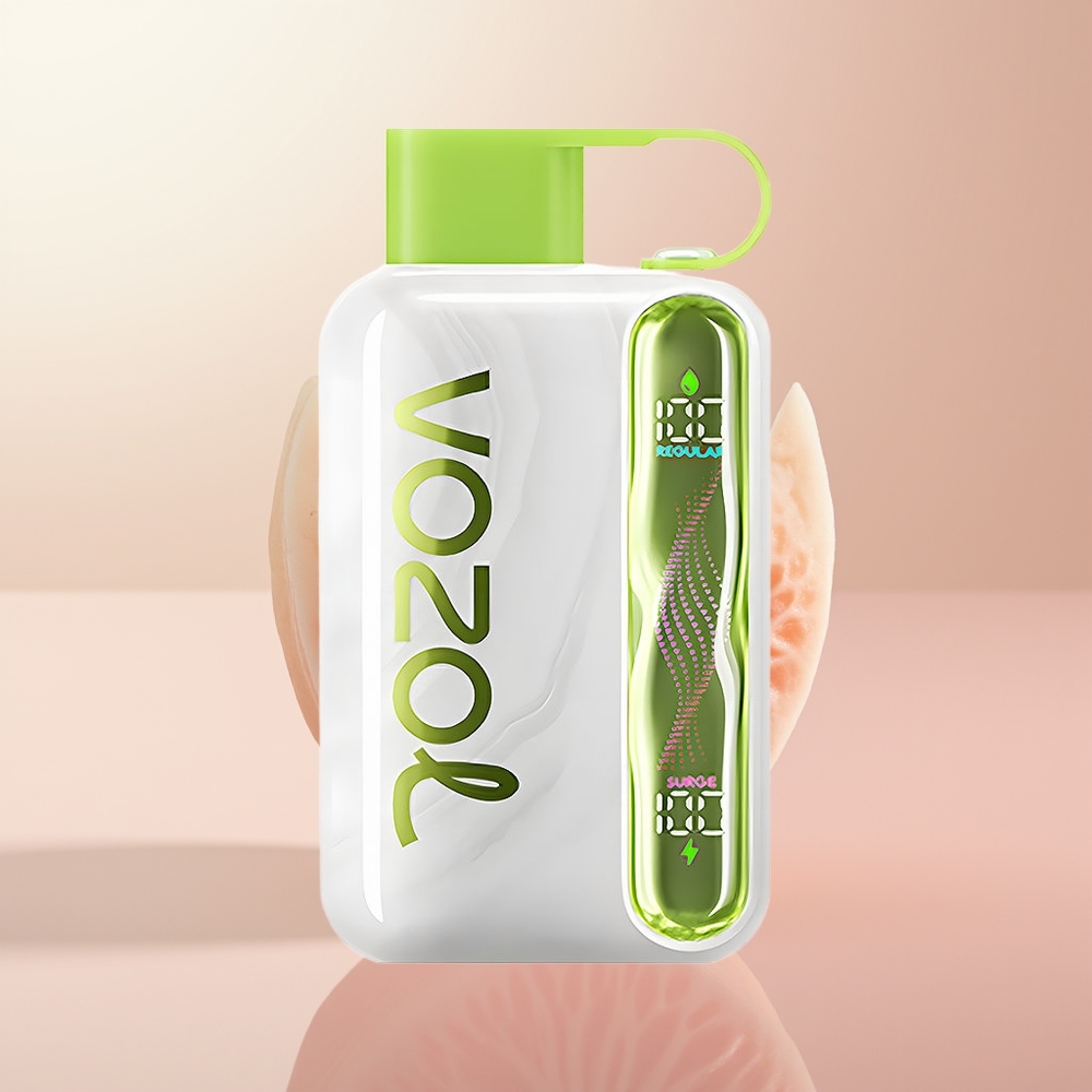 VOZOL STAR 40000 Puffs Menta Fresca Tipo-C 1000mAh 20/50mg